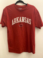 Arkansas Embroidered Champion / Size L